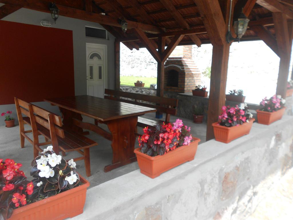 Vikendica Rtanj Villa Cameră foto
